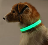 Buy 1 Get 1! - Safety Glowing Dog Collars and Leashes By Pet Lovers Club